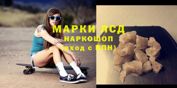 индика Абинск