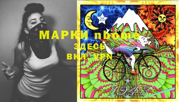 индика Абинск